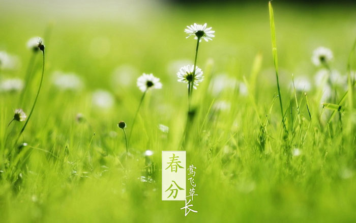即便是春风十里，依然不如你