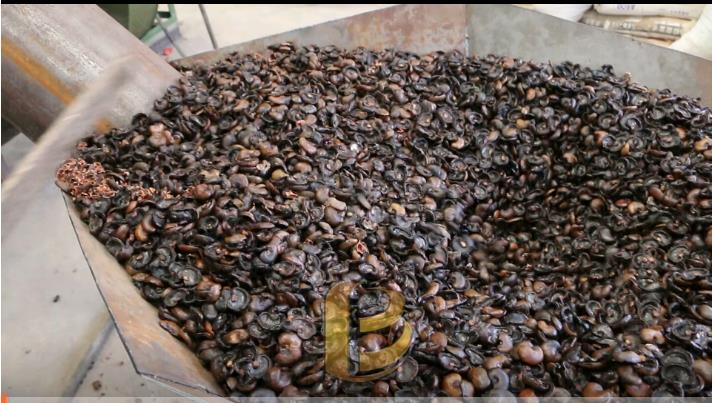 山核桃壳午夜在线观看视频,使果壳资源得到充分利用